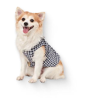 Milo